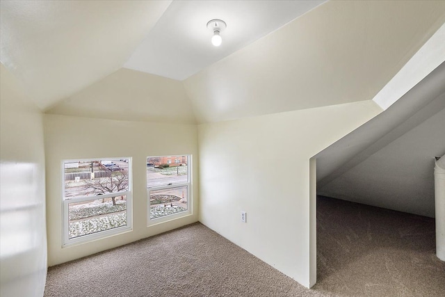 additional living space featuring carpet flooring and lofted ceiling