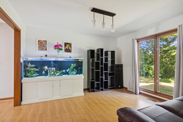 living room with light wood-type flooring