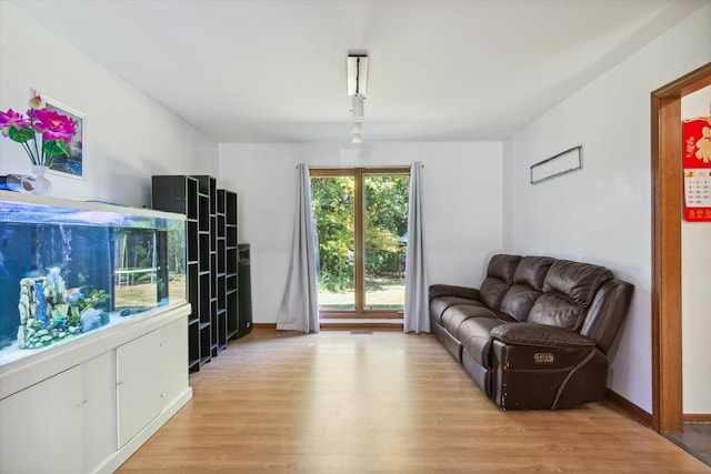 living room featuring light wood-type flooring