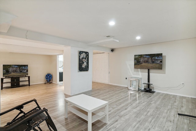 living room featuring wood-type flooring