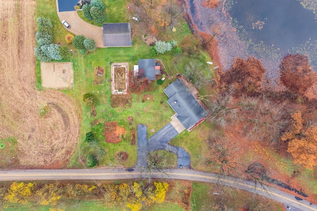 1385 Wetheral Lake Dr, Martin, MI 49070 - drone / aerial view