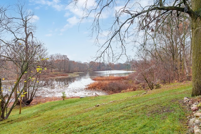 1385 Wetheral Lake Dr, Martin, MI 49070 - view of grassy yard featuring a water view