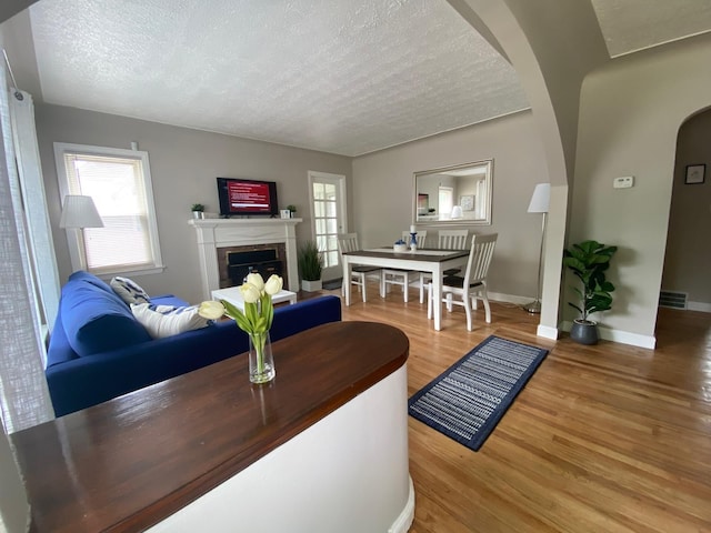 living room featuring wood-type flooring and a textured ceiling