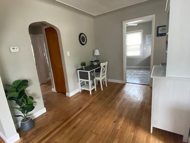 dining area featuring hardwood / wood-style flooring