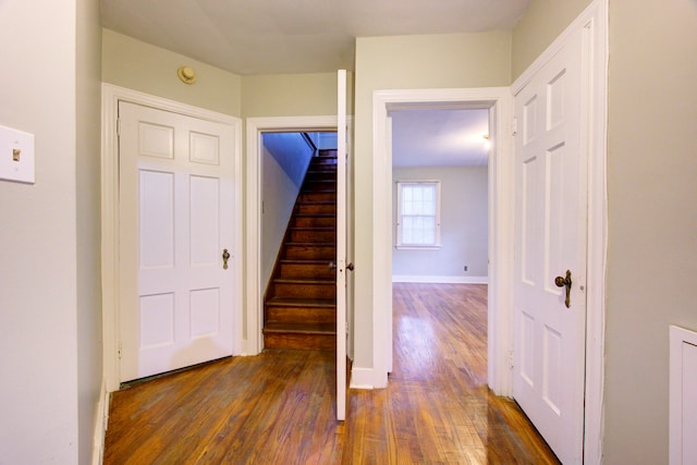 hallway featuring dark wood-type flooring