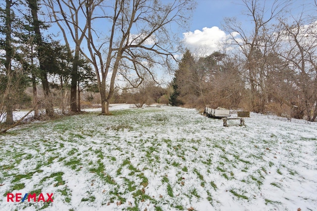 view of snowy yard