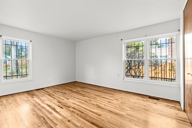 spare room with light hardwood / wood-style flooring and plenty of natural light