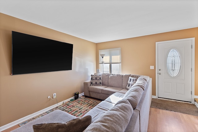 living room featuring wood-type flooring