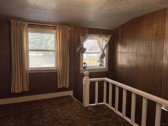 817 Hoch Ave, Adrian, MI 49221 - photo 18