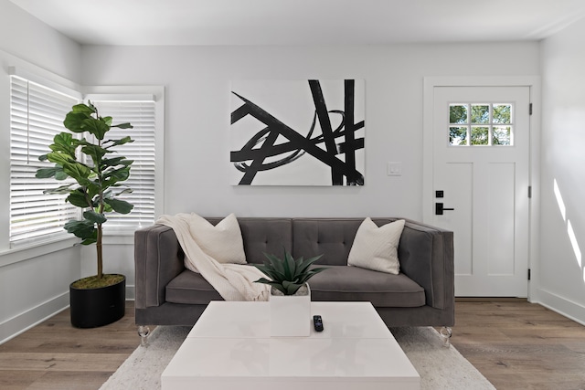 living room featuring light hardwood / wood-style flooring