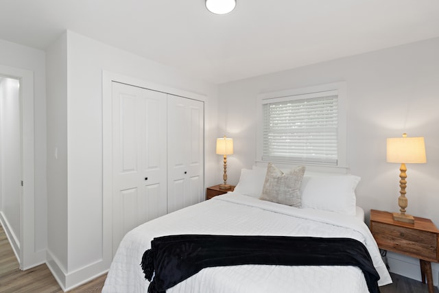 bedroom with a closet and wood-type flooring