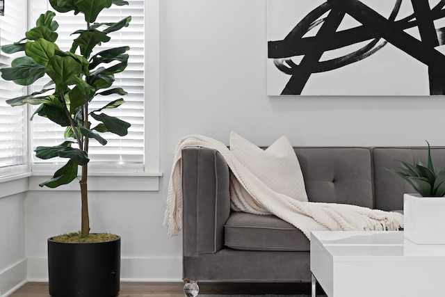 living area featuring wood-type flooring