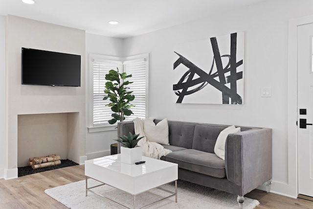 living room featuring wood-type flooring