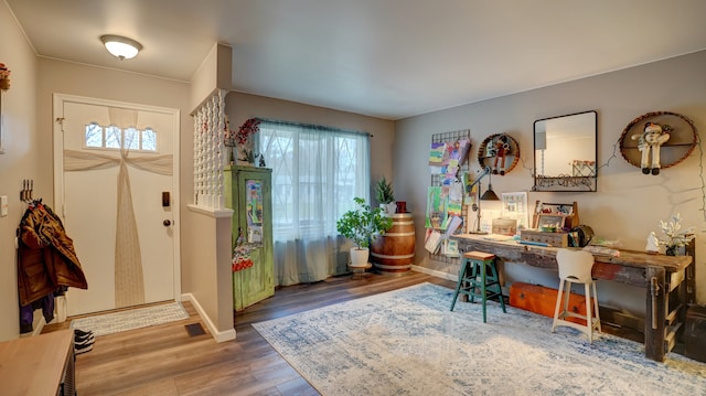 entrance foyer with hardwood / wood-style flooring