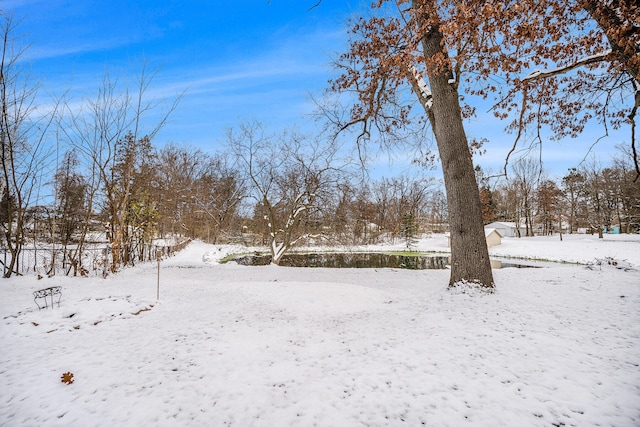 view of yard covered in snow