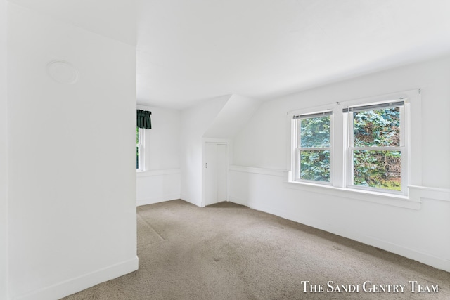 16248 Warner St, Grand Haven, MI 49417 - additional living space with carpet and baseboards