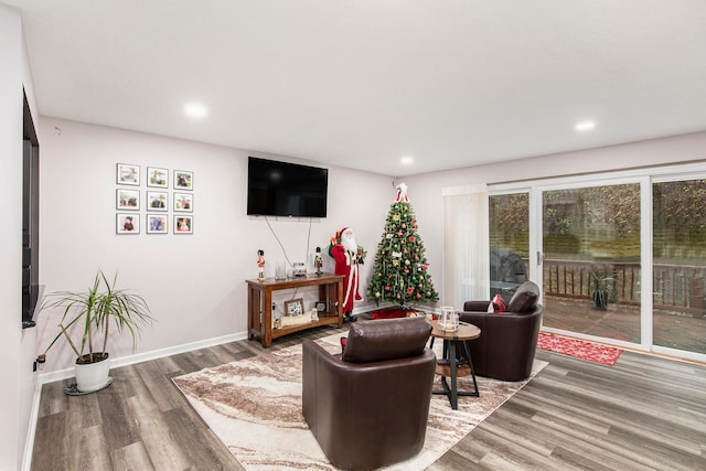 living room featuring hardwood / wood-style floors