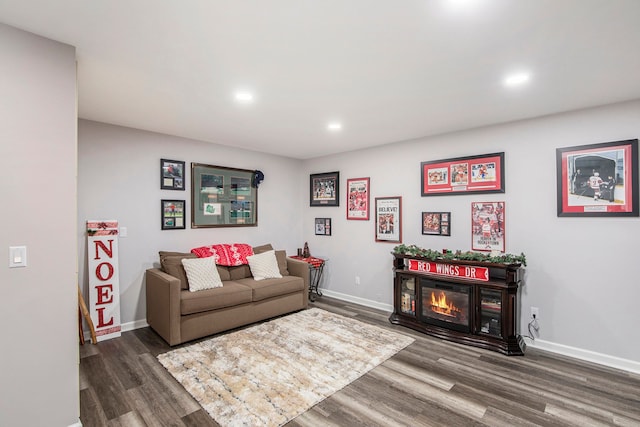 living room with dark wood-type flooring