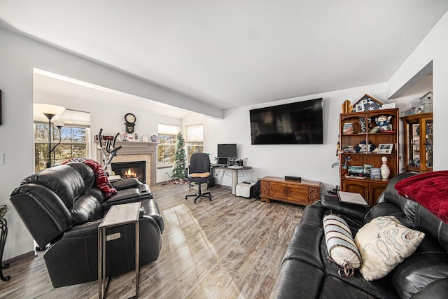 living room with hardwood / wood-style flooring