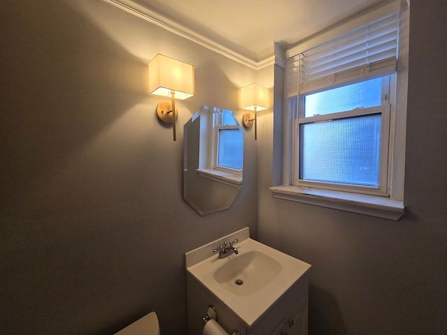 bathroom featuring vanity and ornamental molding