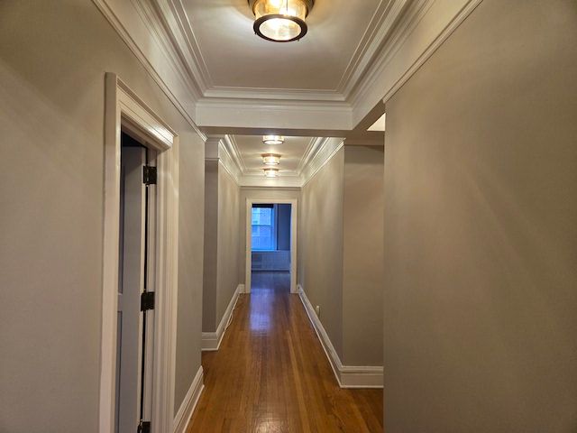 hall featuring dark hardwood / wood-style flooring and crown molding