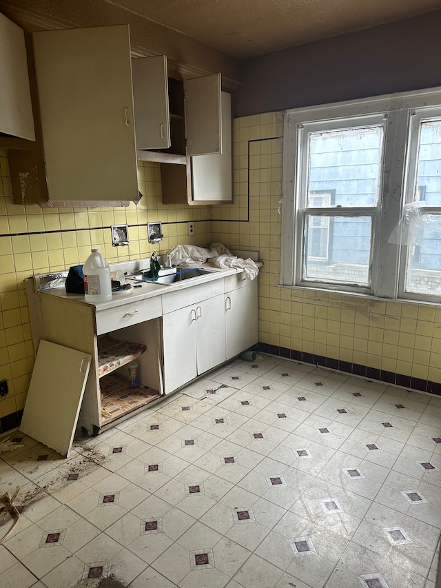 kitchen with a healthy amount of sunlight and sink