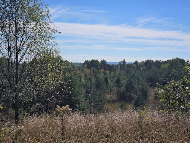 00 Moorestown Rd, Lake City, MI 49651