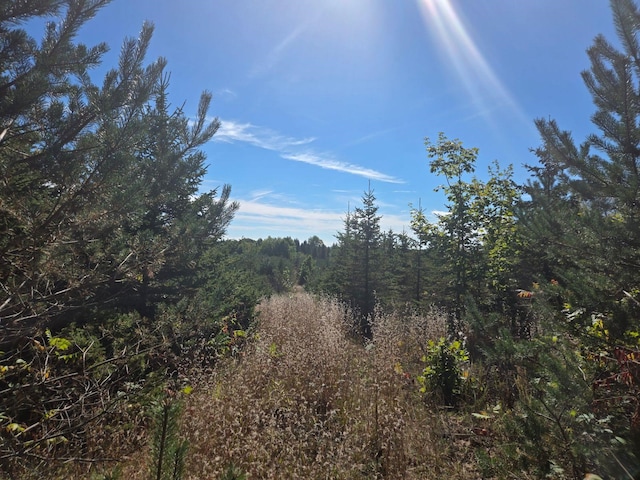 00 Moorestown Rd, Lake City, MI 49651