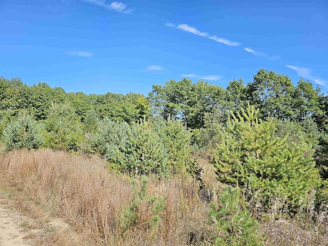 00 Moorestown Rd, Lake City, MI 49651
