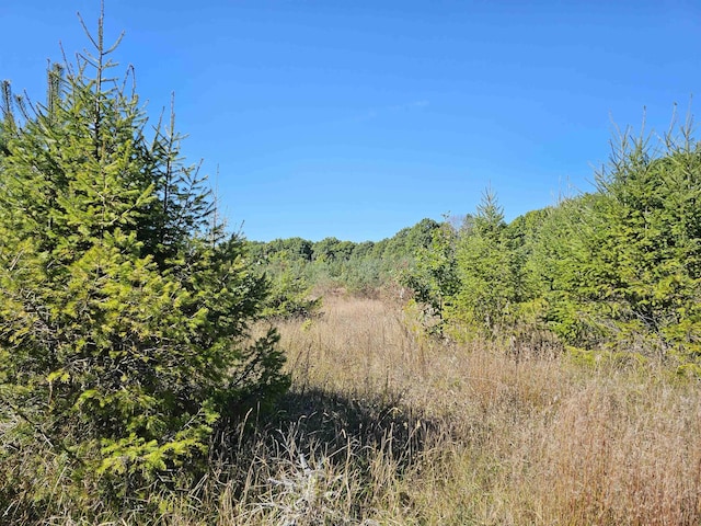 00 Moorestown Rd, Lake City, MI 49651