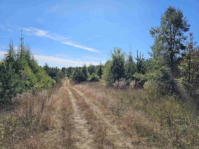 00 Moorestown Rd, Lake City, MI 49651