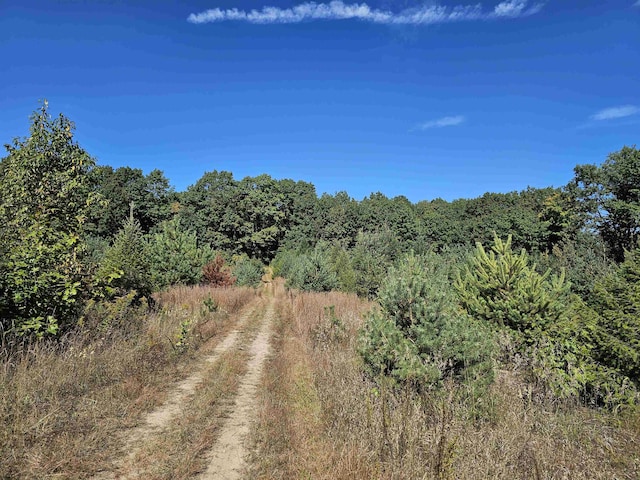 00 Moorestown Rd, Lake City, MI 49651