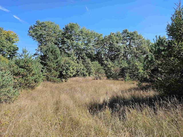 00 Moorestown Rd, Lake City, MI 49651