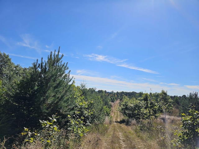 00 Moorestown Rd, Lake City, MI 49651