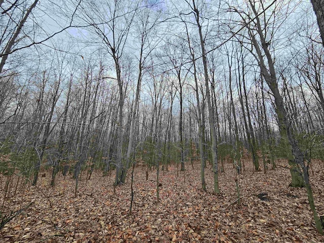 00 Moorestown Rd, Lake City, MI 49651