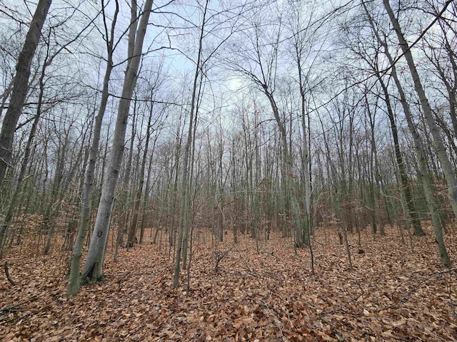 00 Moorestown Rd, Lake City, MI 49651