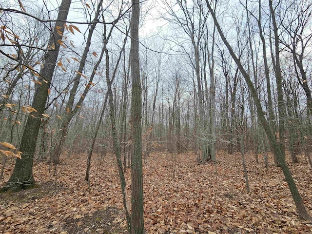 00 Moorestown Rd, Lake City, MI 49651