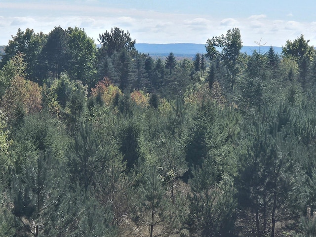 00 Moorestown Rd, Lake City, MI 49651