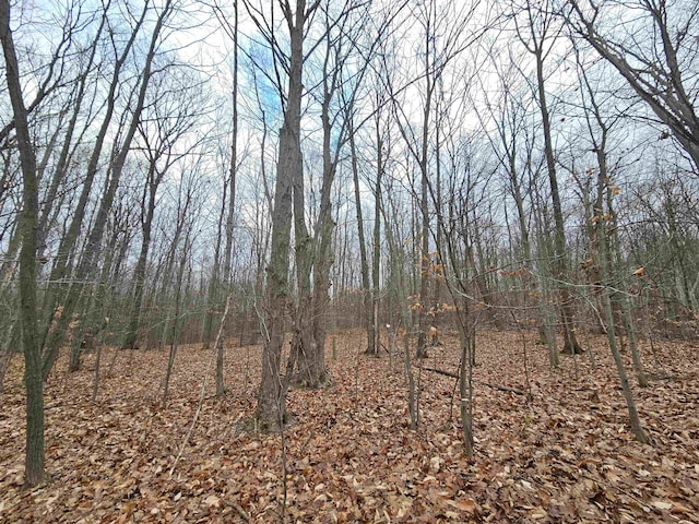 00 Moorestown Rd, Lake City, MI 49651