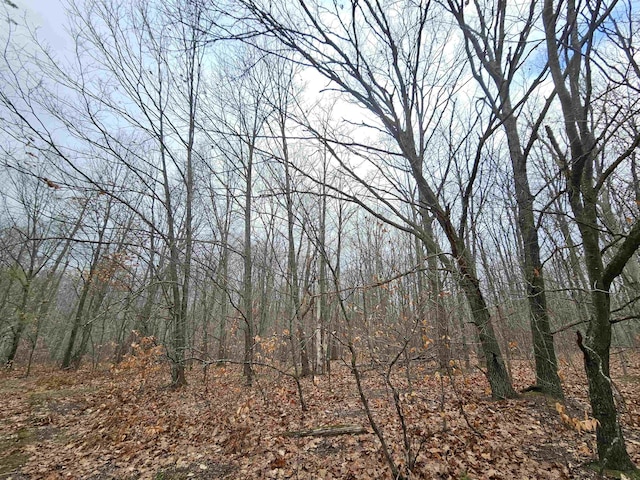 00 Moorestown Rd, Lake City, MI 49651