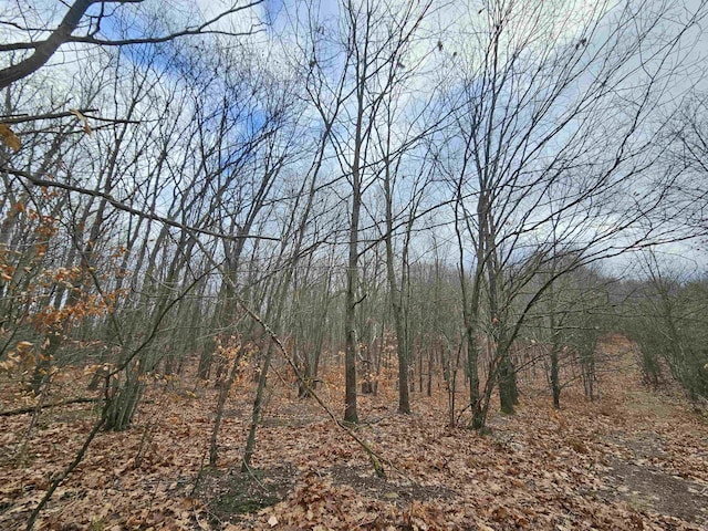 00 Moorestown Rd, Lake City, MI 49651