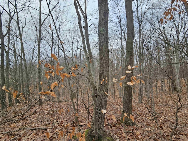 00 Moorestown Rd, Lake City, MI 49651