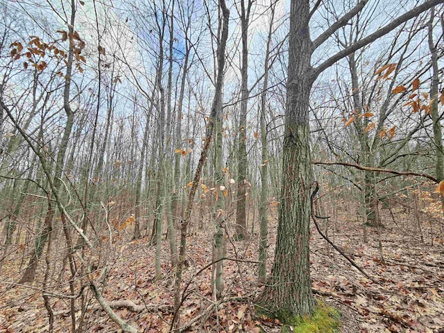 00 Moorestown Rd, Lake City, MI 49651