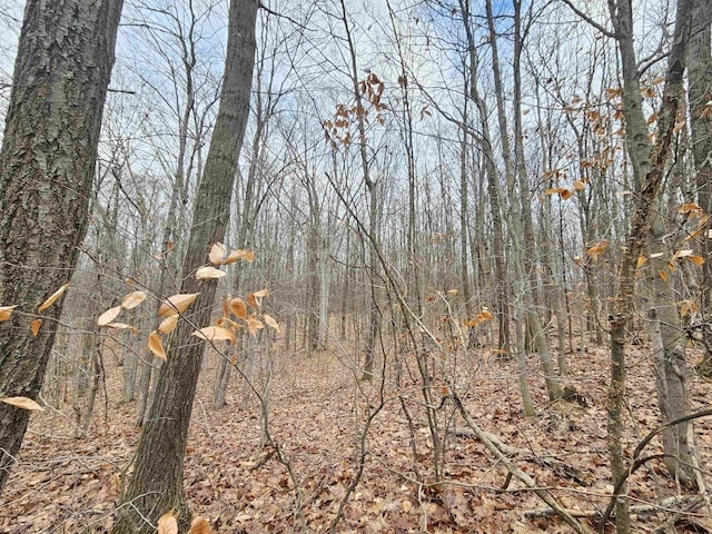 00 Moorestown Rd, Lake City, MI 49651