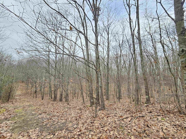 00 Moorestown Rd, Lake City, MI 49651