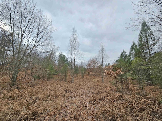 00 Moorestown Rd, Lake City, MI 49651