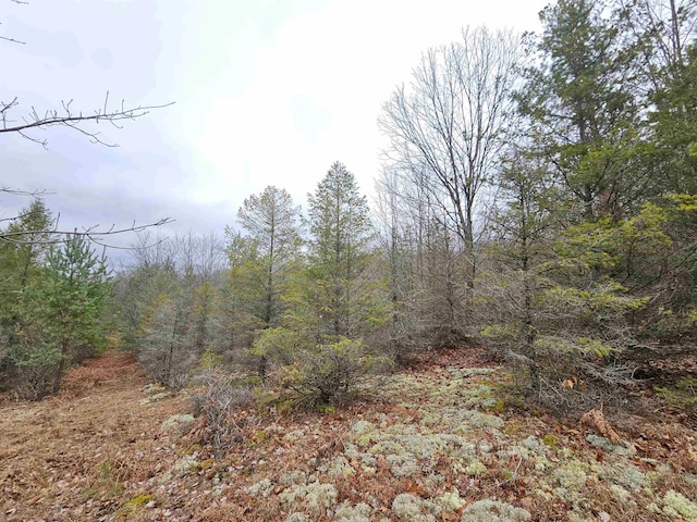 00 Moorestown Rd, Lake City, MI 49651