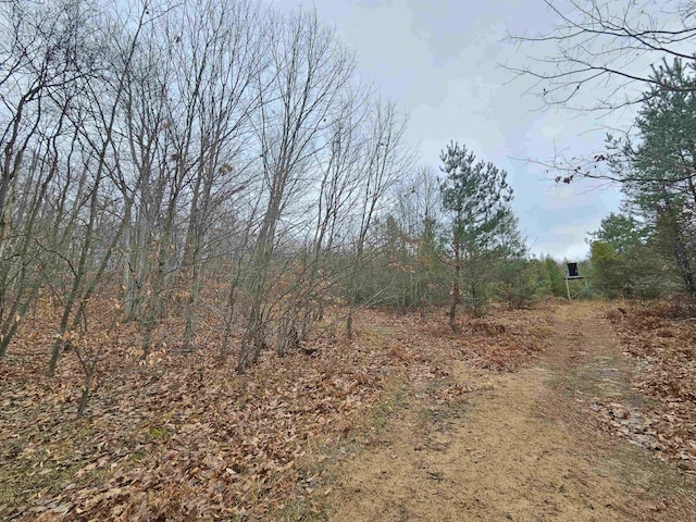 00 Moorestown Rd, Lake City, MI 49651