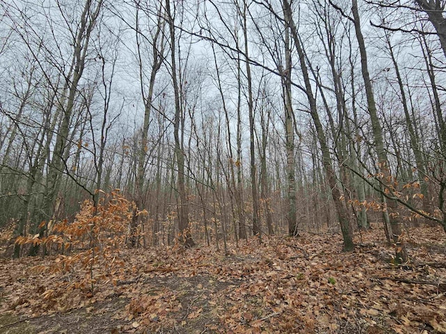 00 Moorestown Rd, Lake City, MI 49651