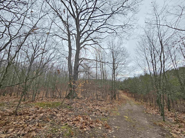 00 Moorestown Rd, Lake City, MI 49651